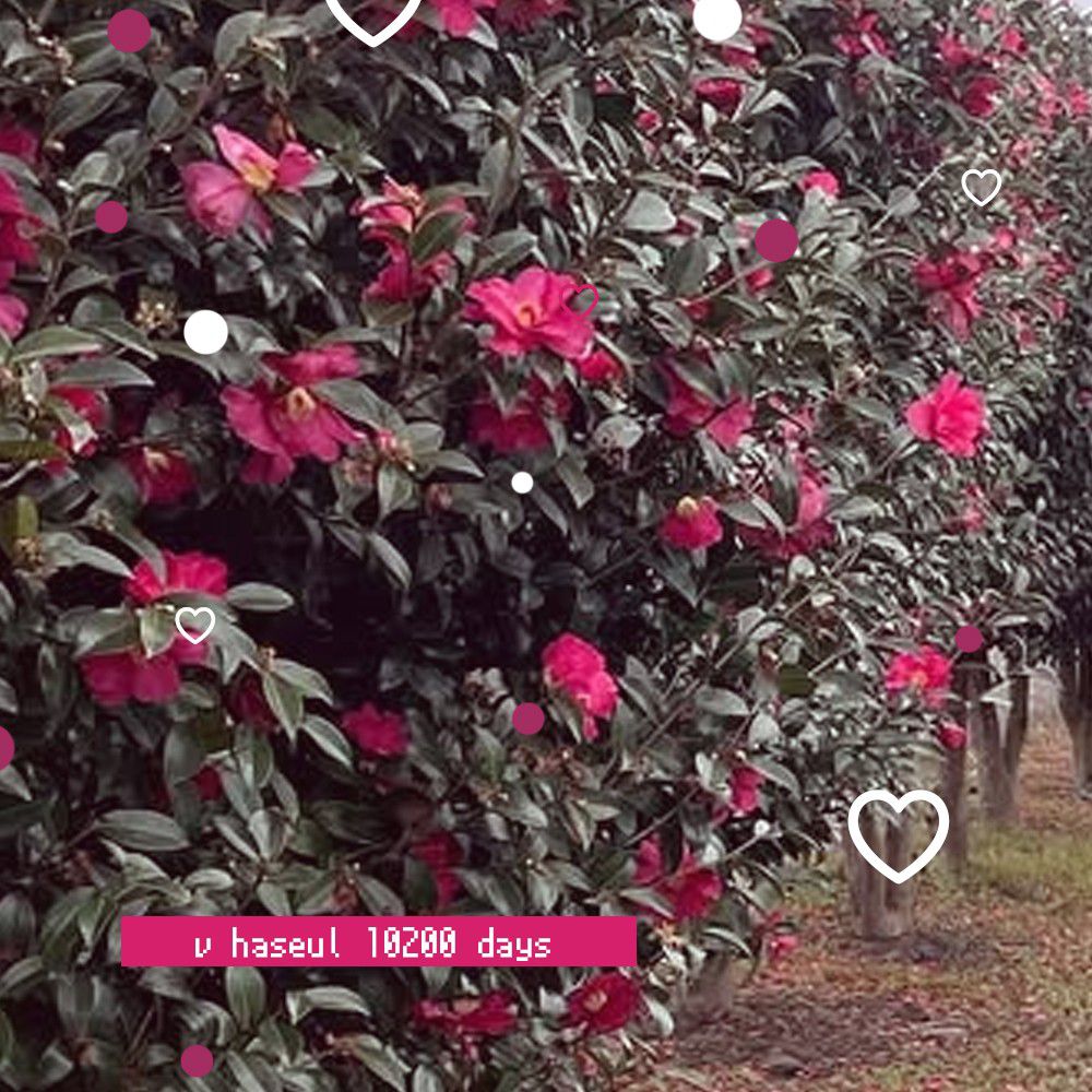 A moment captured by LOONA's fan