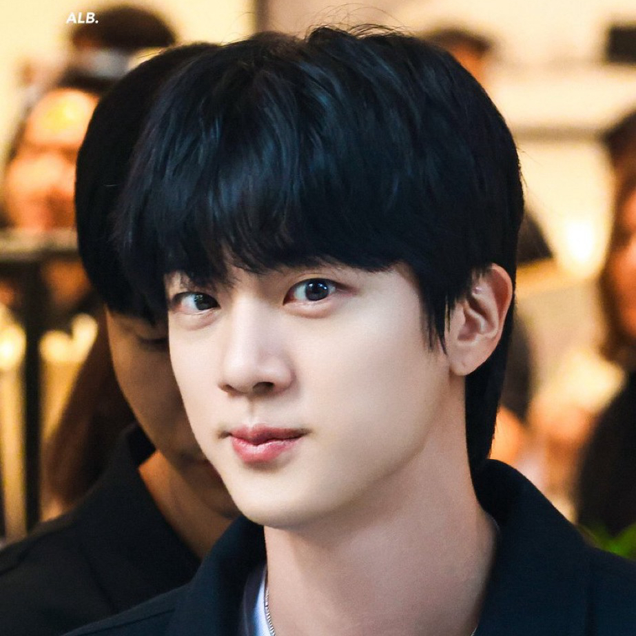 A moment captured by Jin (BTS)'s fan