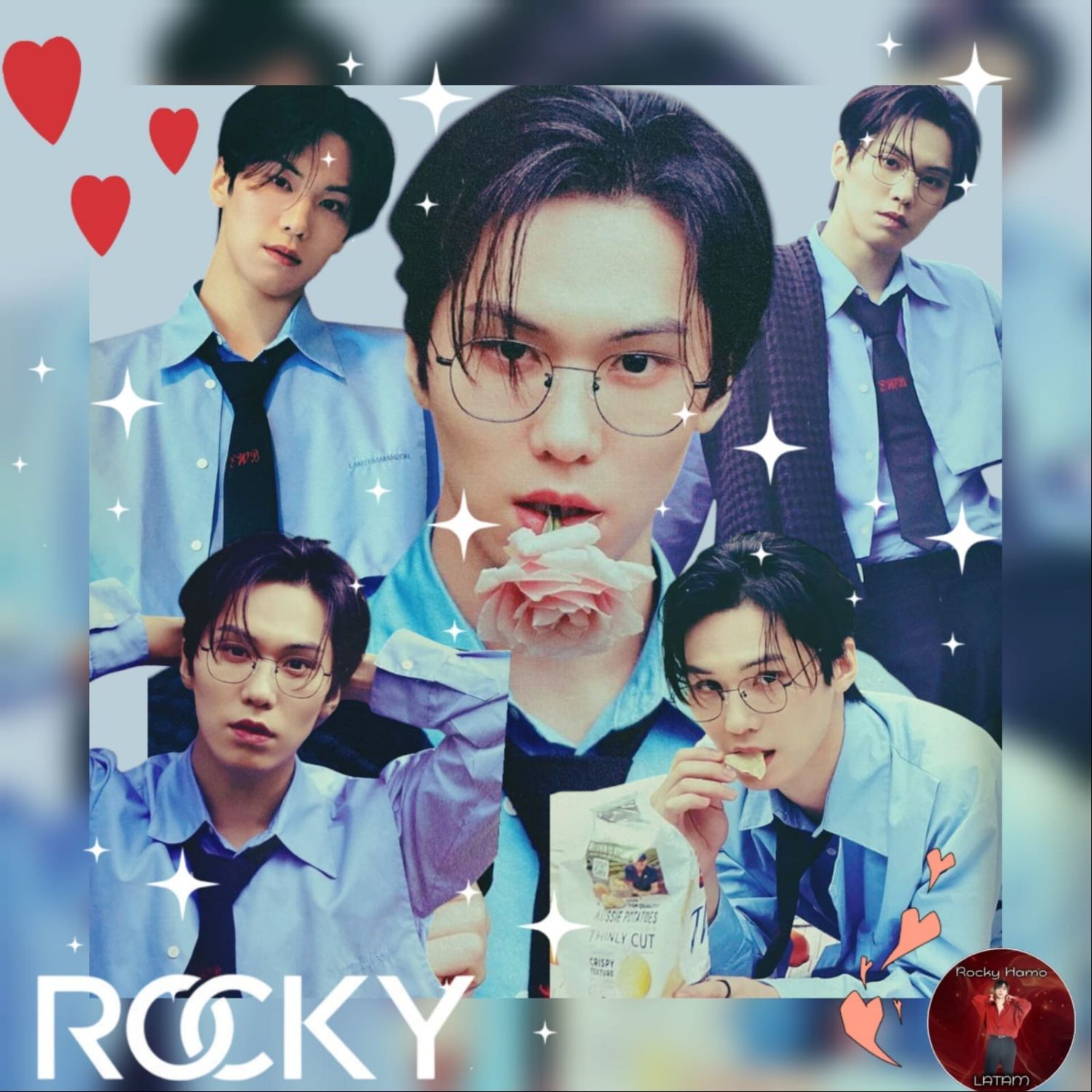 Rocky的最新照片