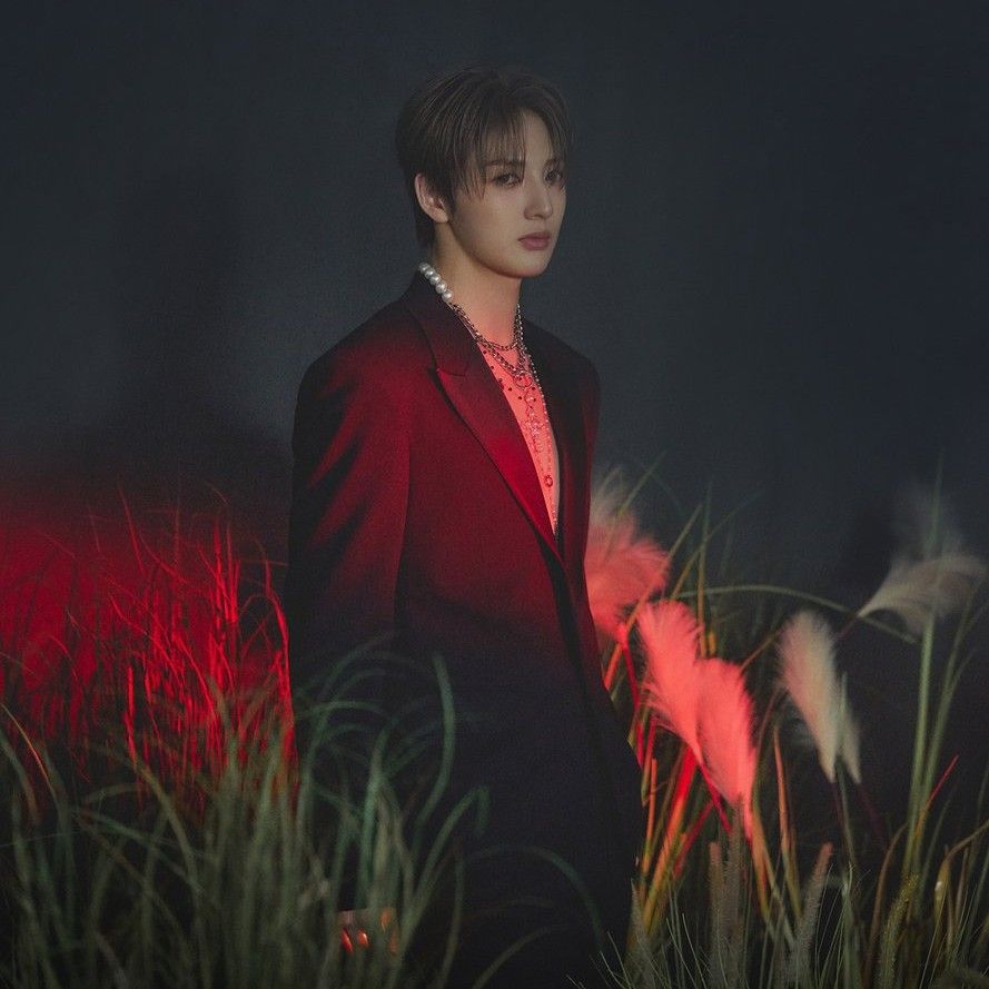 Behind-the-scenes cut of NouerA