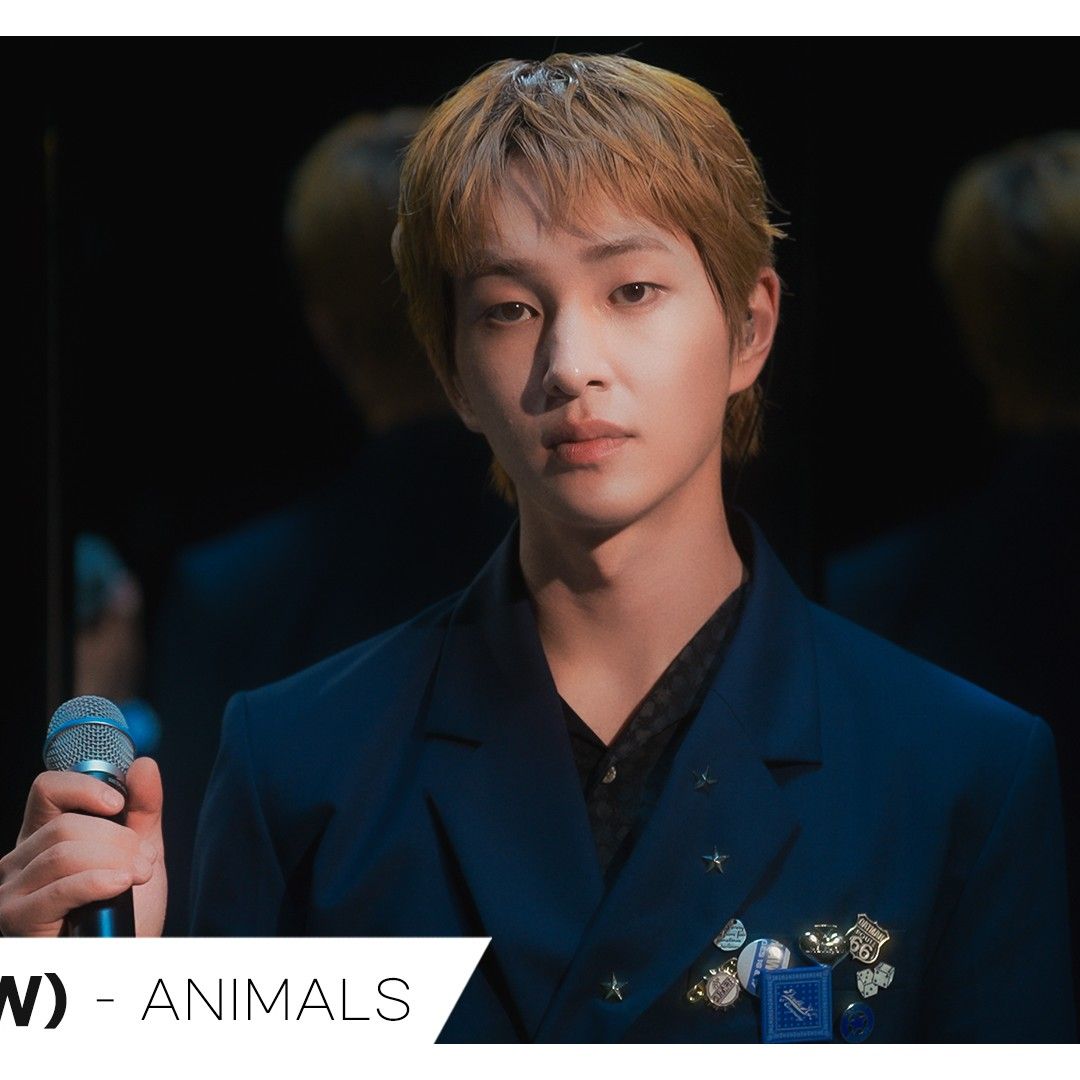 Recent activity shot of Onew (SHINee)
