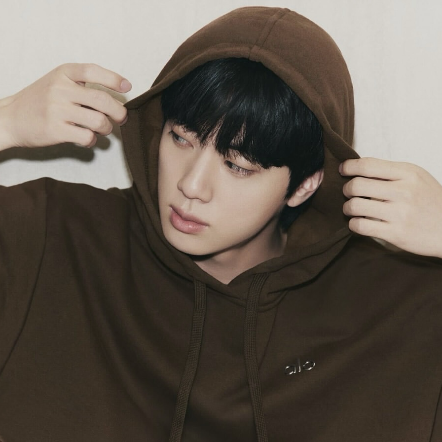 A moment captured by Jin (BTS)'s fan