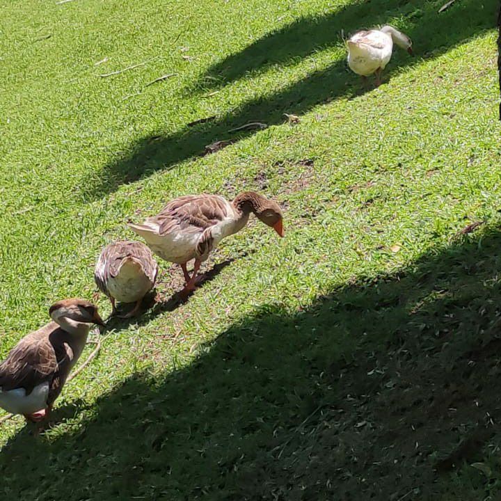 몬스타엑스의 최신 사진