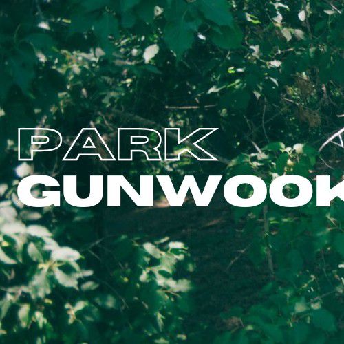 Recent activity shot of Park Gunwook (ZEROBASEONE)