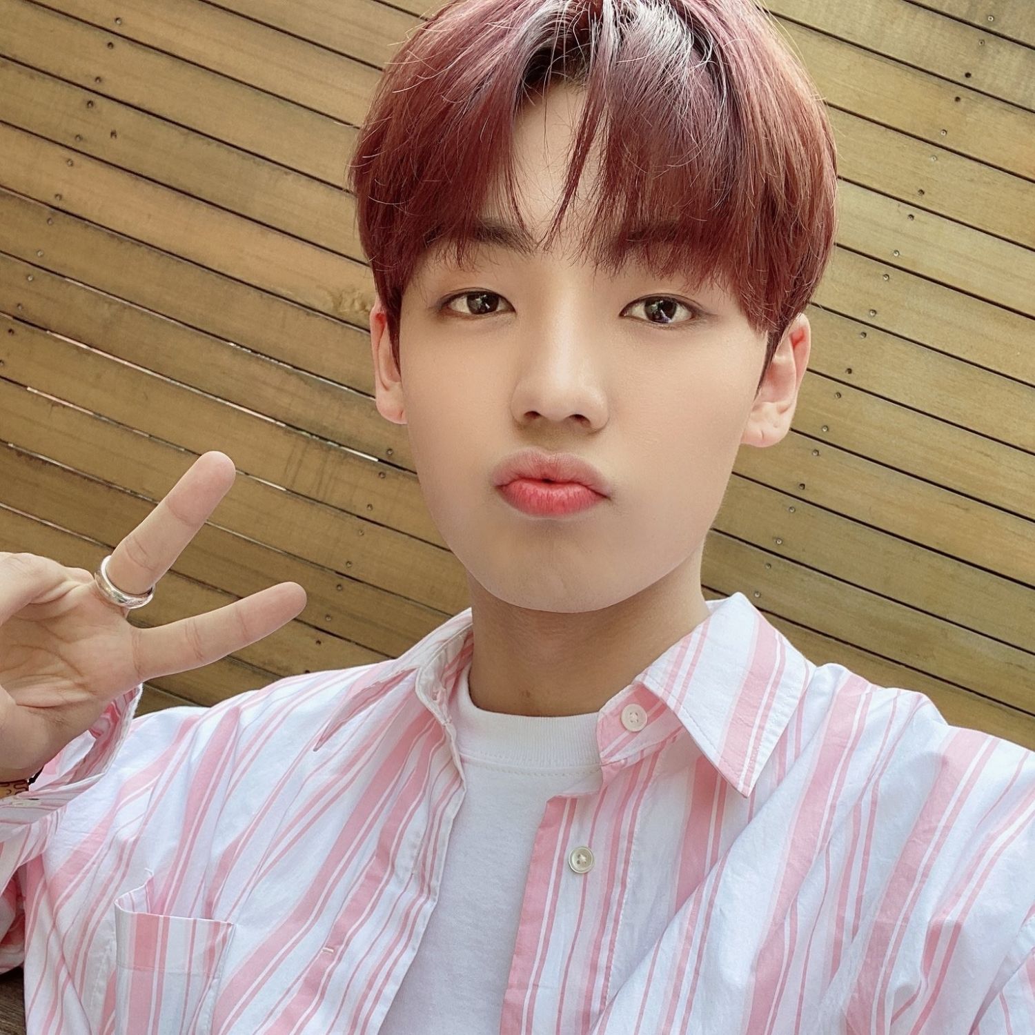 Latest photo of Chan (A.C.E)