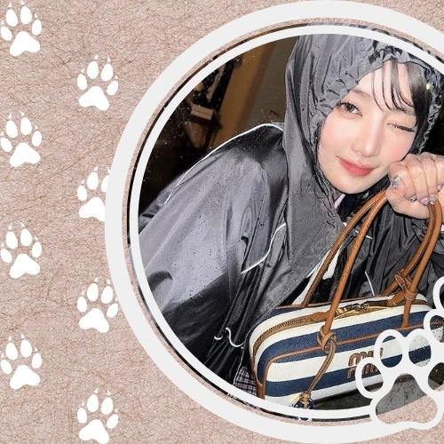 Latest photo of Minnie (i-dle)