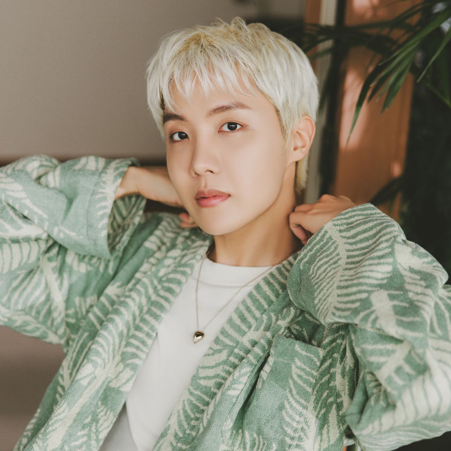 제이홉 (방탄소년단) 팬이 찍은 순간