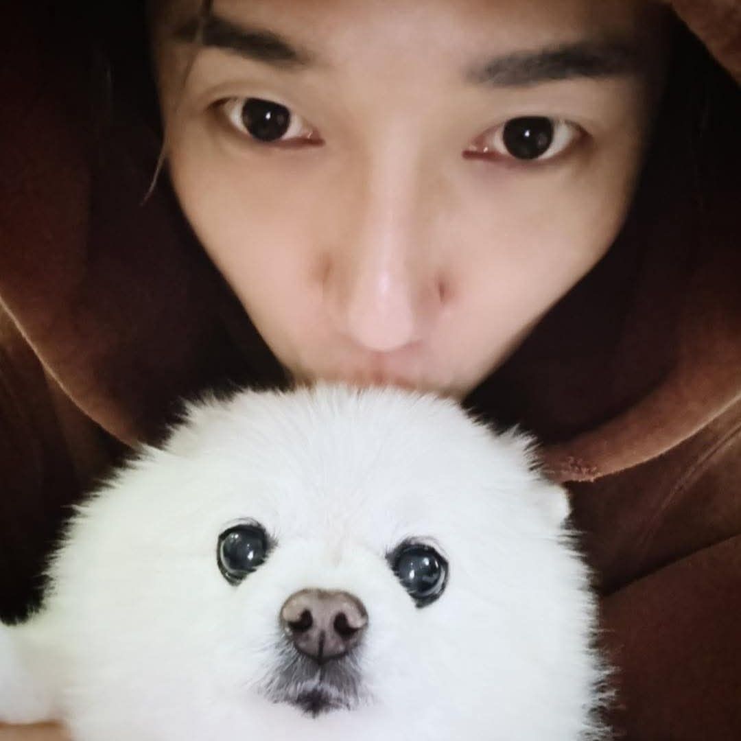 Latest photo of Yesung (Super Junior)
