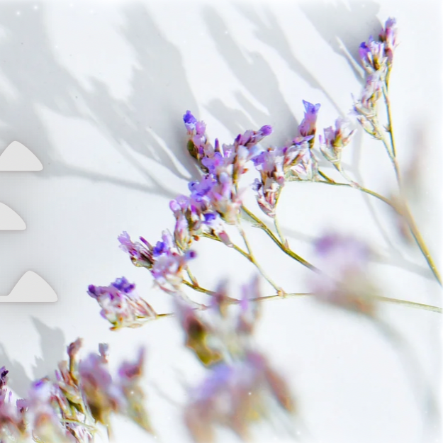 Latest photo of Yumeki