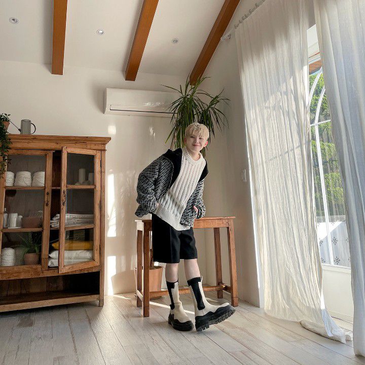 세븐틴 팬이 찍은 순간