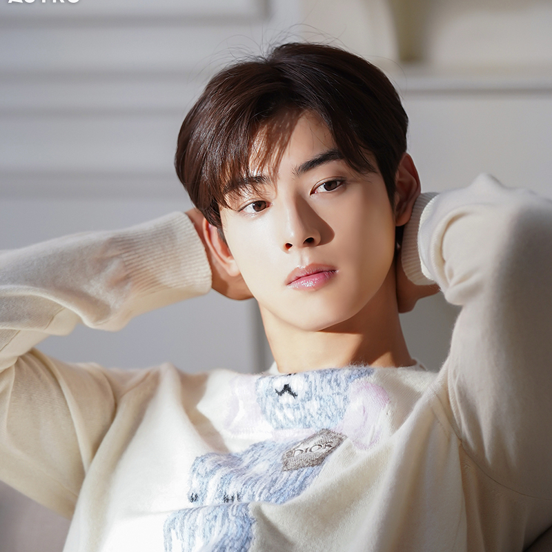 Momen yang diabadikan oleh penggemar ASTRO