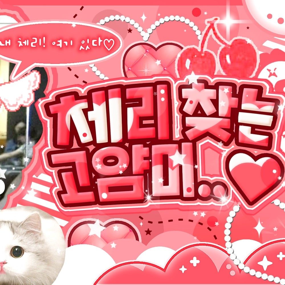 Recent activity shot of MEOVV