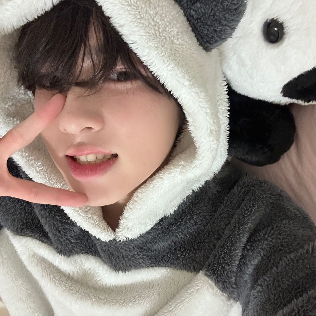 Recent activity shot of Sakuya (NCT WISH)