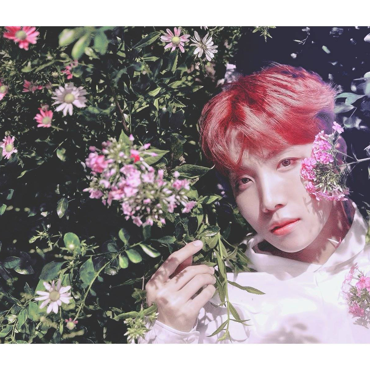 J-hope (防彈少年團)的最新照片
