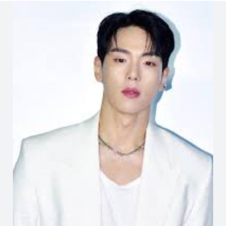 Shownu (MONSTA X)粉絲拍下的瞬間