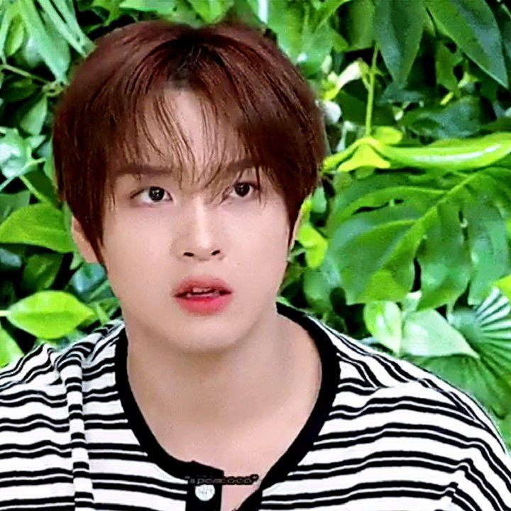 A moment captured by Haechan (NCT 127, NCT DREAM)'s fan