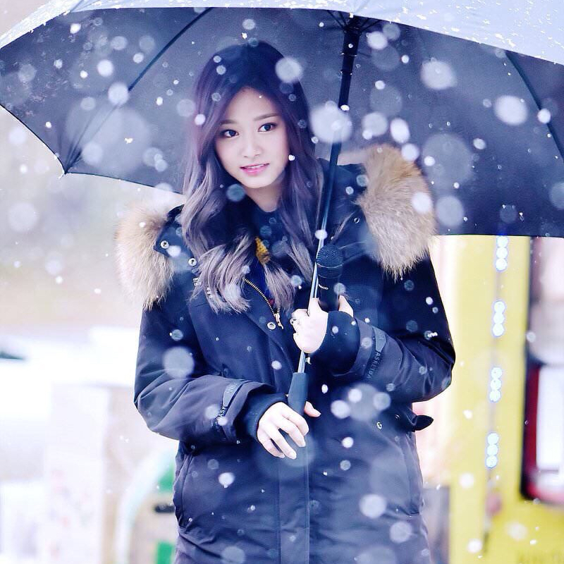 TWICE의 최신 사진