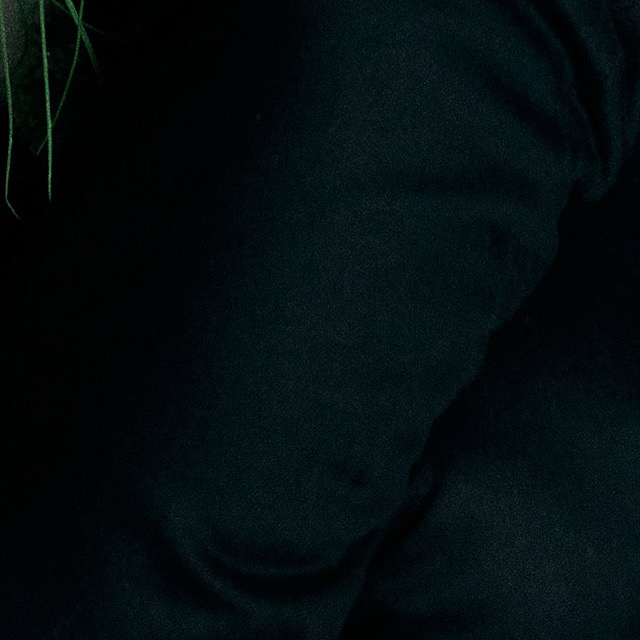 Behind-the-scenes cut of Ravn
