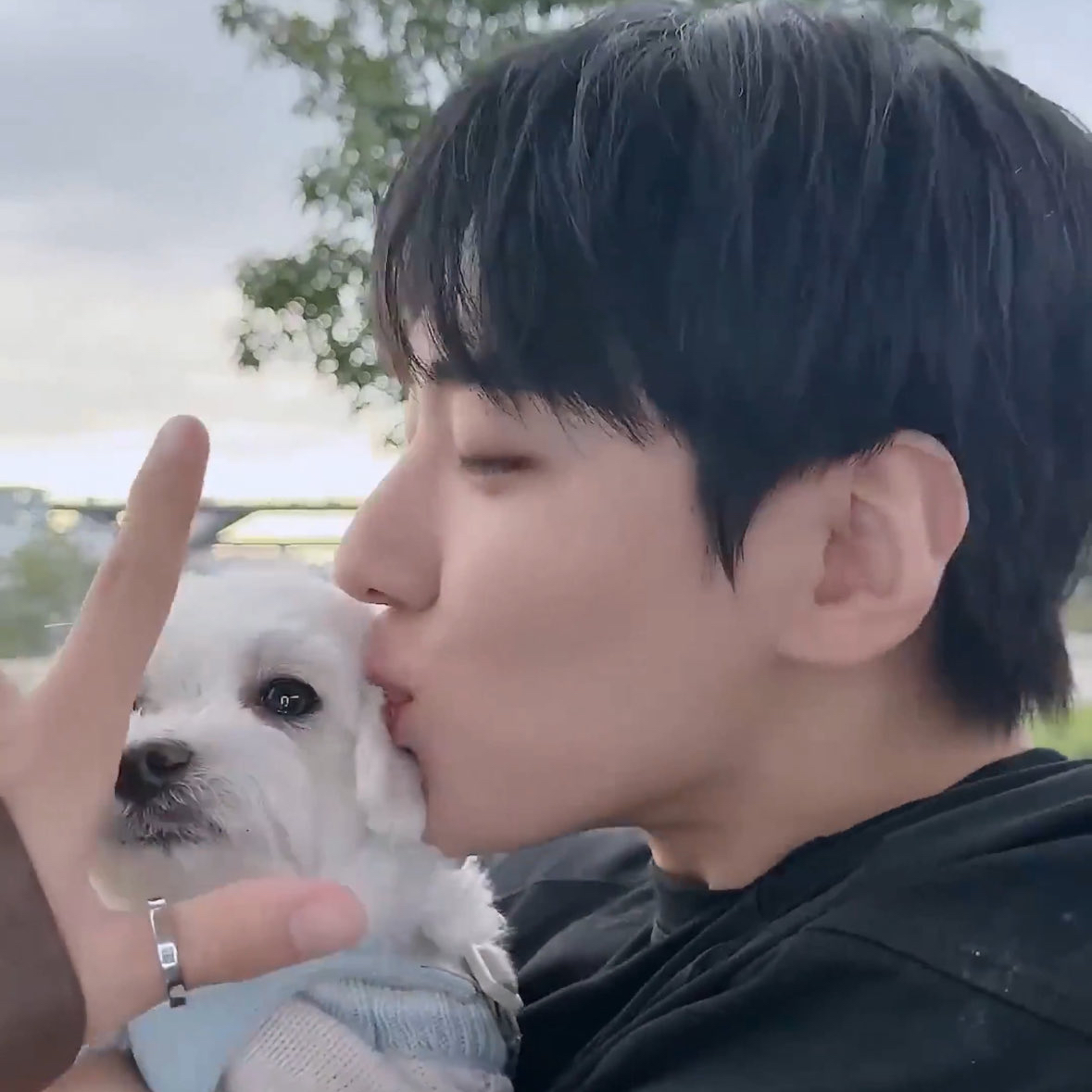 Latest photo of Jaechan (DKZ)