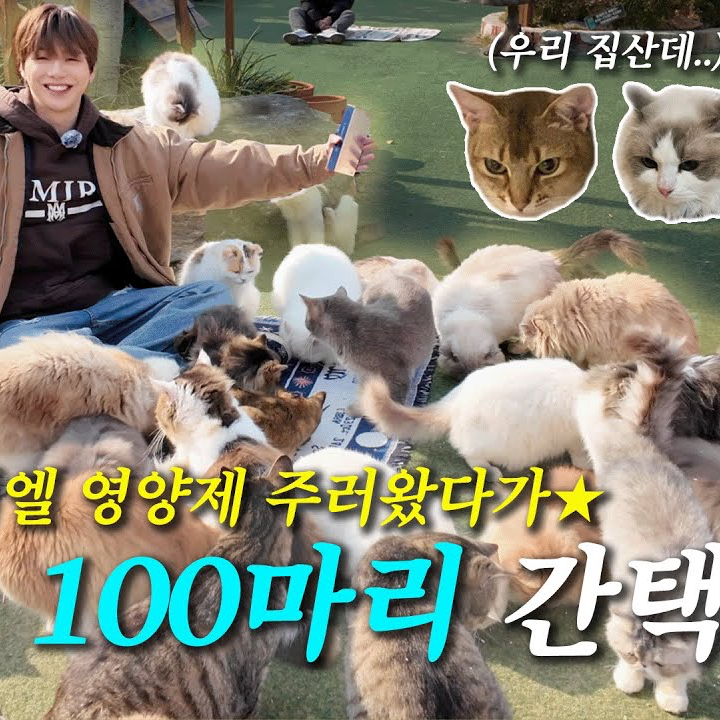 Momen yang diabadikan oleh penggemar Kang Daniel