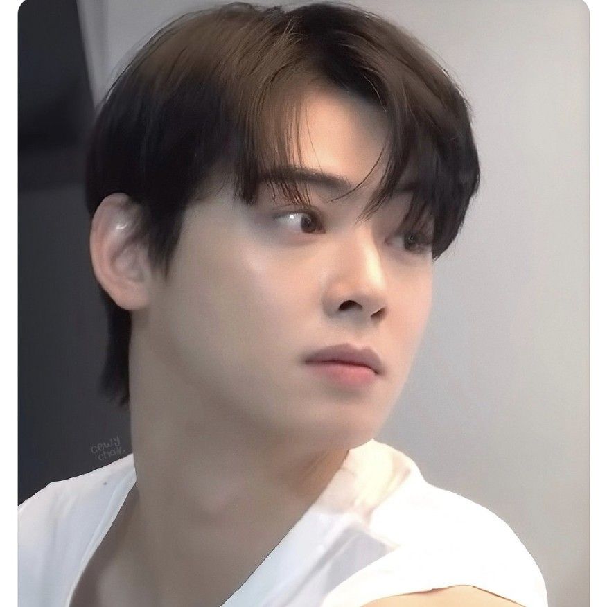 A moment captured by Eunwoo (ASTRO)'s fan