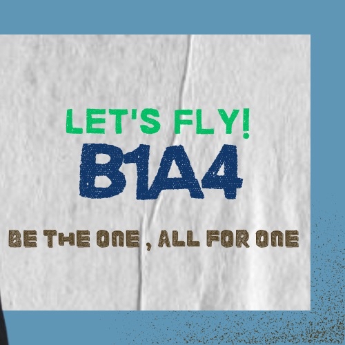Recent activity shot of B1A4