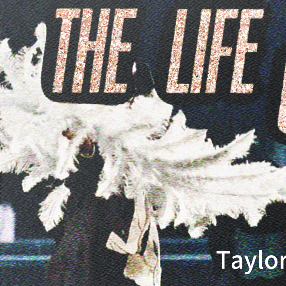 A moment captured by Taylor Swift's fan