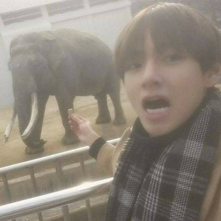 Foto terbaru V (BTS)