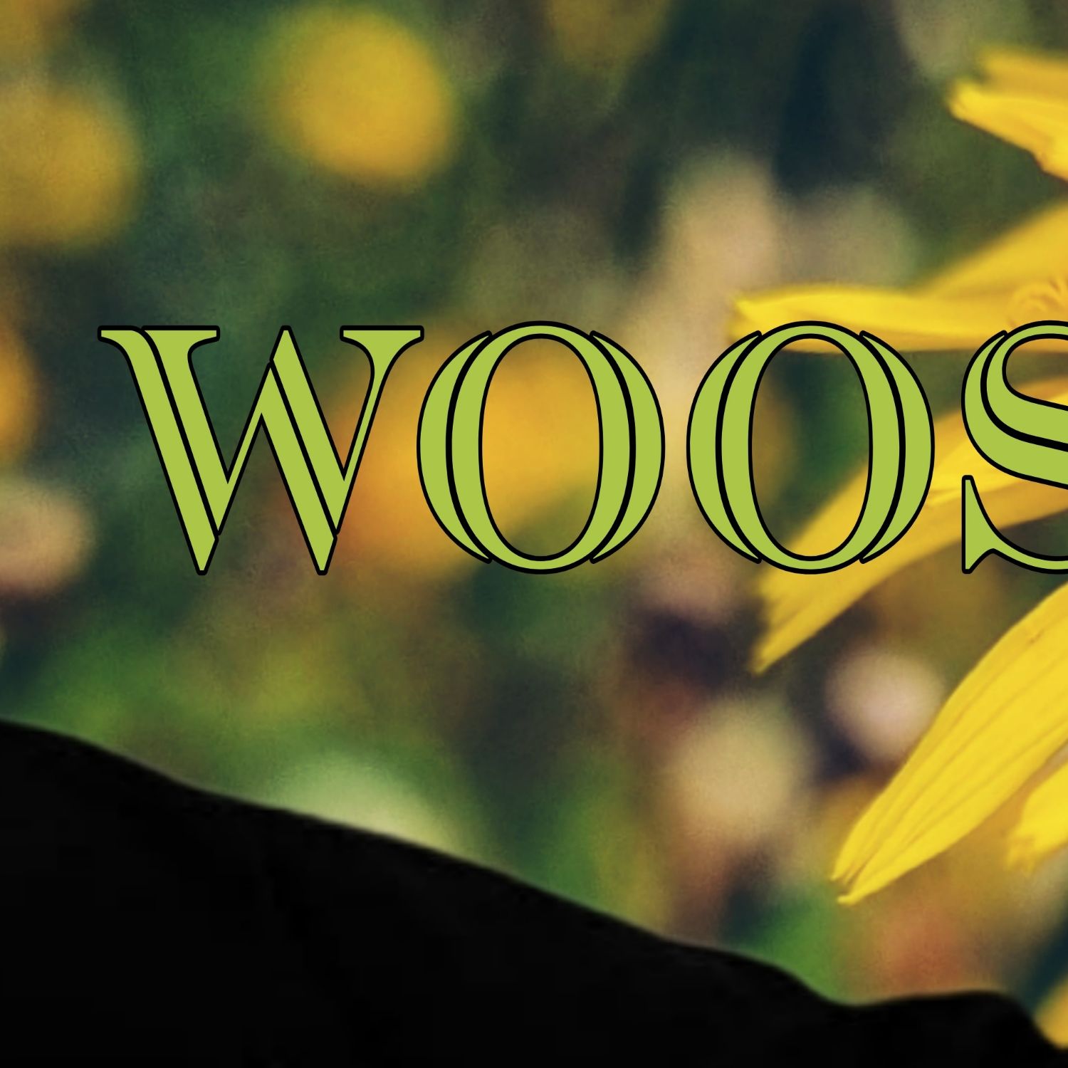 Latest photo of Wooseok (PENTAGON)