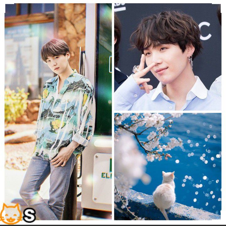 Recent activity shot of SUGA (BTS)