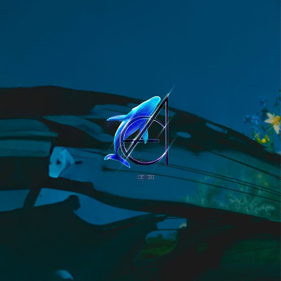 A moment captured by Ayden (EPEX)'s fan