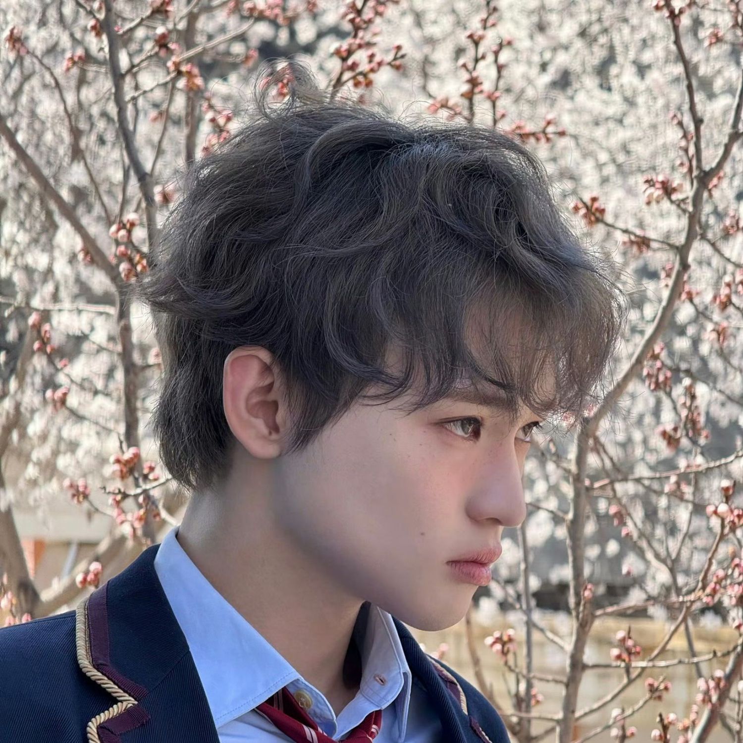 Latest photo of Chenle (NCT DREAM)