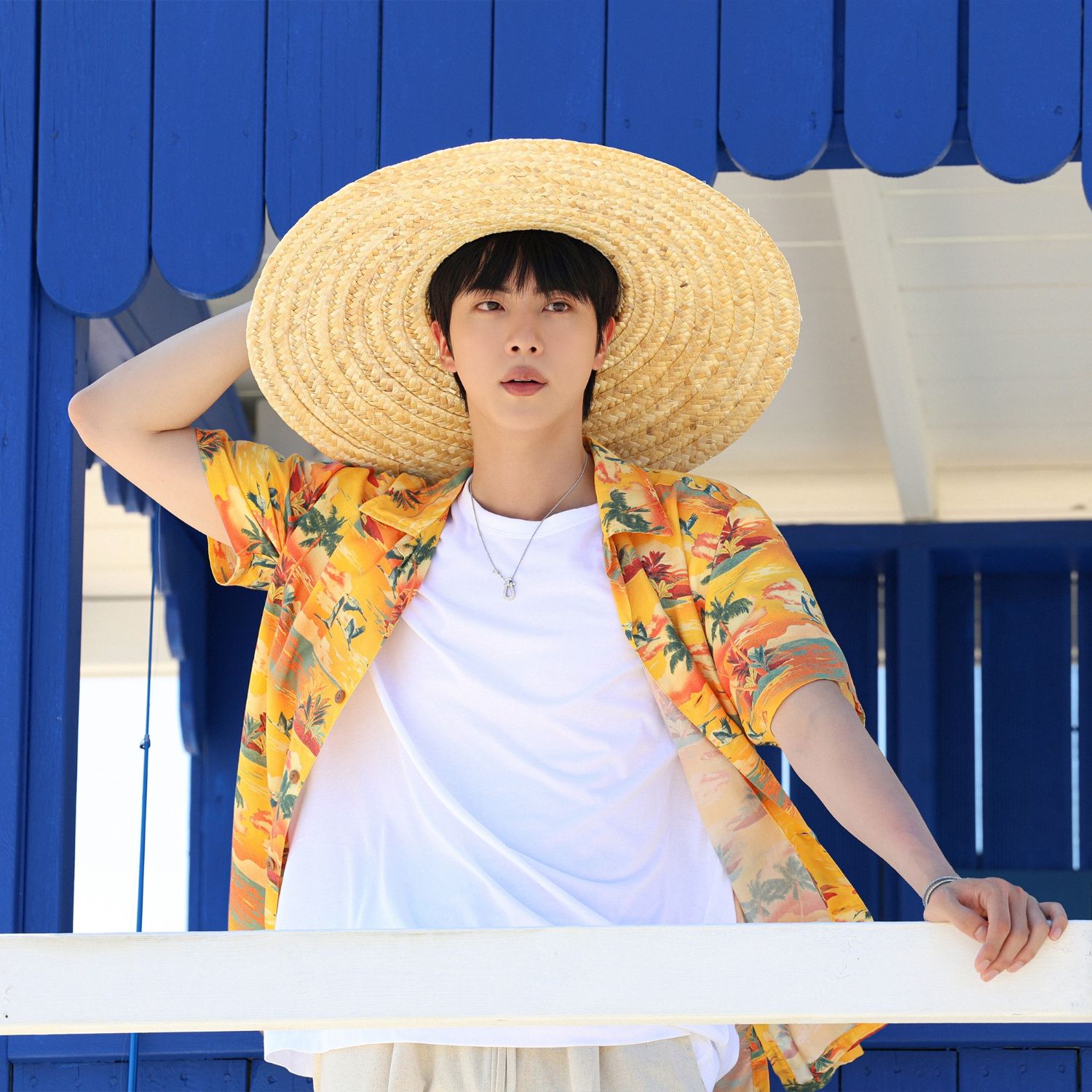 A moment captured by Jin (BTS)'s fan