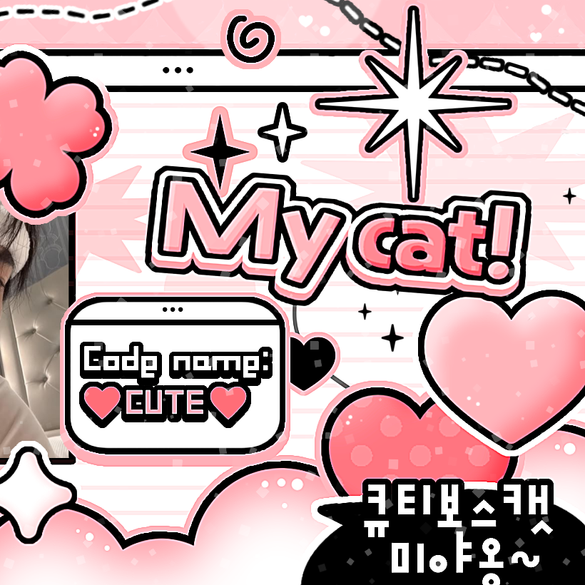 Recent activity shot of New (THE BOYZ)