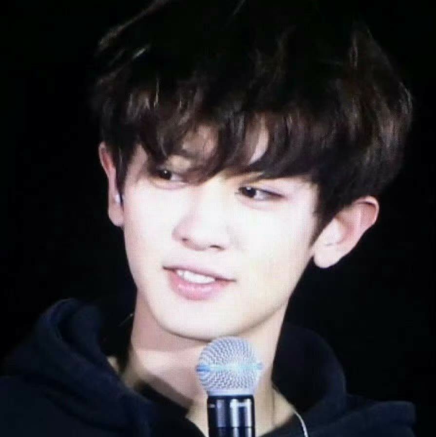灿烈 (EXO)粉丝拍下的瞬间