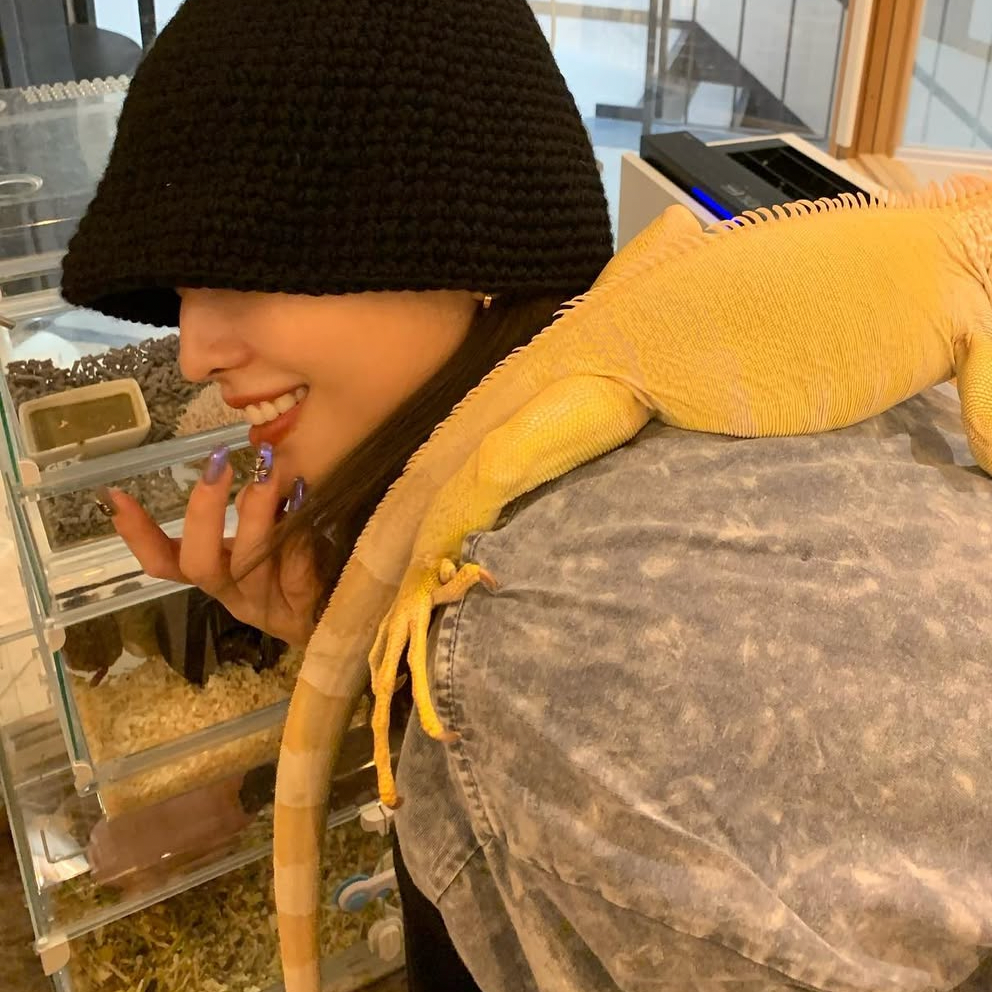 Recent activity shot of Momo (TWICE)