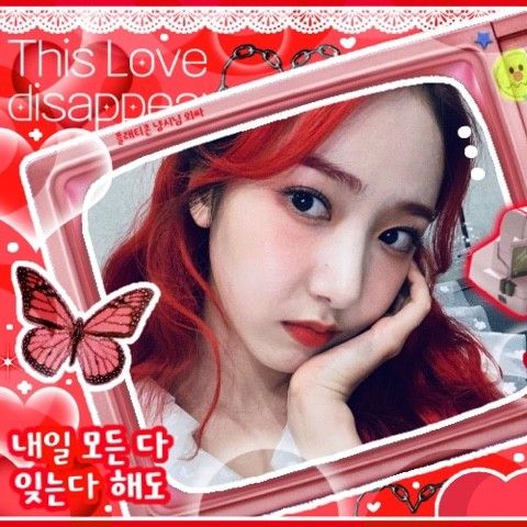 VIVIZの最近の活動写真