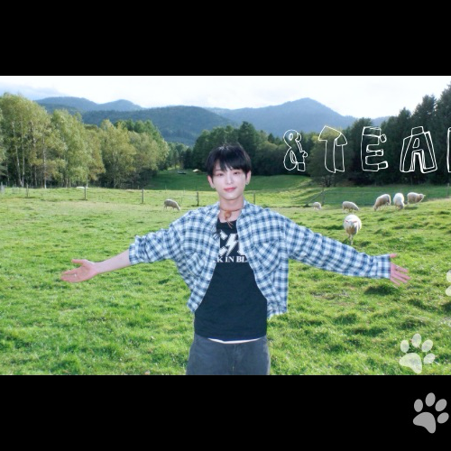 A moment captured by Harua (&TEAM)'s fan