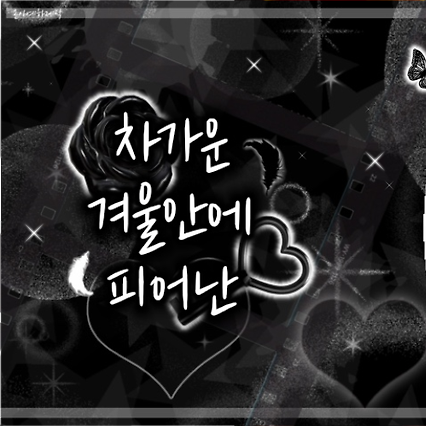 A moment captured by Choerry (ARTMS)'s fan