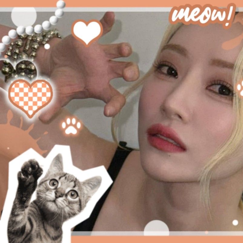 スア (DREAMCATCHER)の最近の活動写真