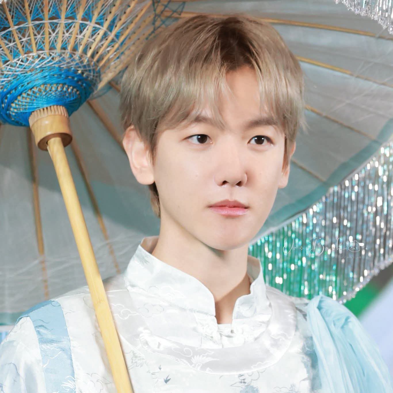 EXO 팬이 찍은 순간