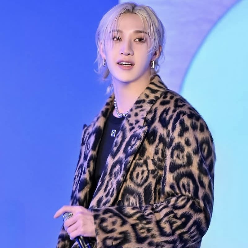 Stray Kids 팬이 찍은 순간