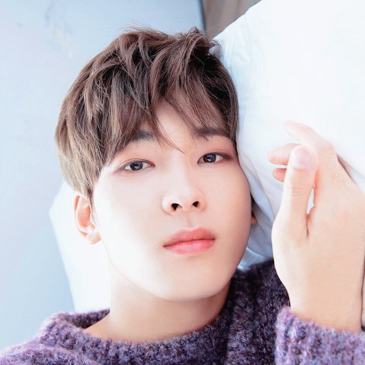 A moment captured by Wonwoo (SEVENTEEN)'s fan