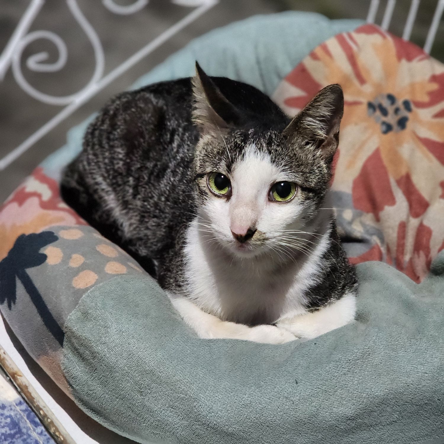 SEVENTEENファンが撮った瞬間