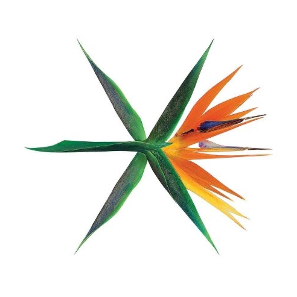 Recent activity shot of EXO