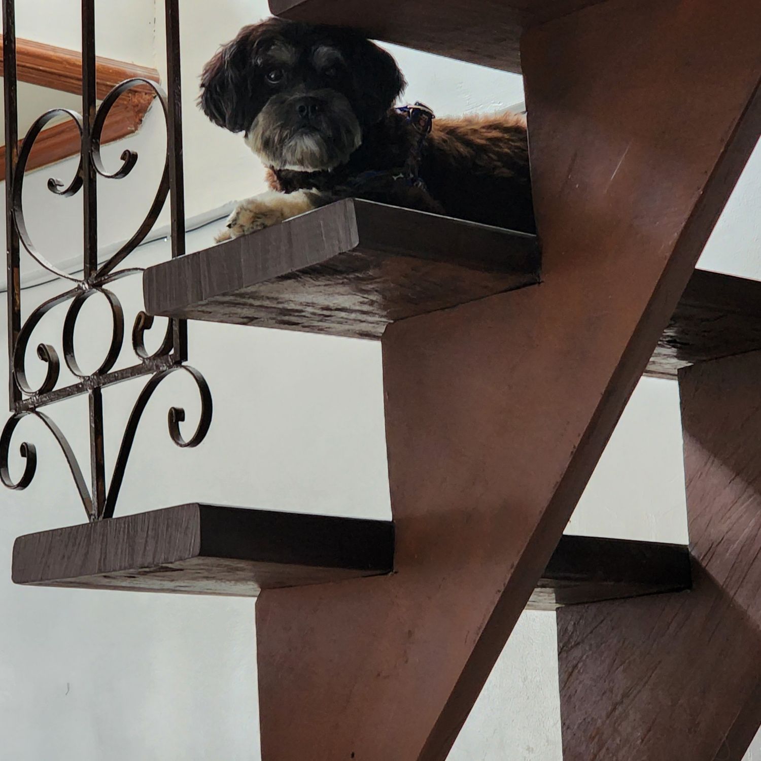 SEVENTEEN的幕後花絮