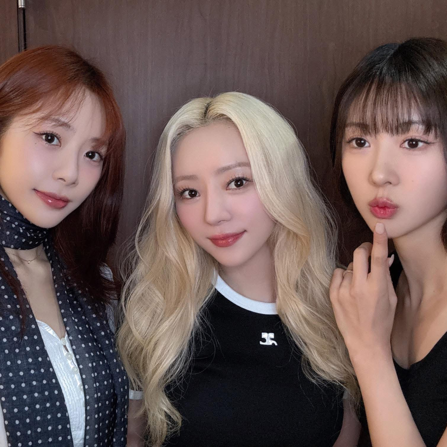 Recent activity shot of DREAMCATCHER