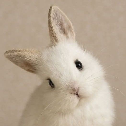 Behind-the-scenes cut of TOMORROW X TOGETHER