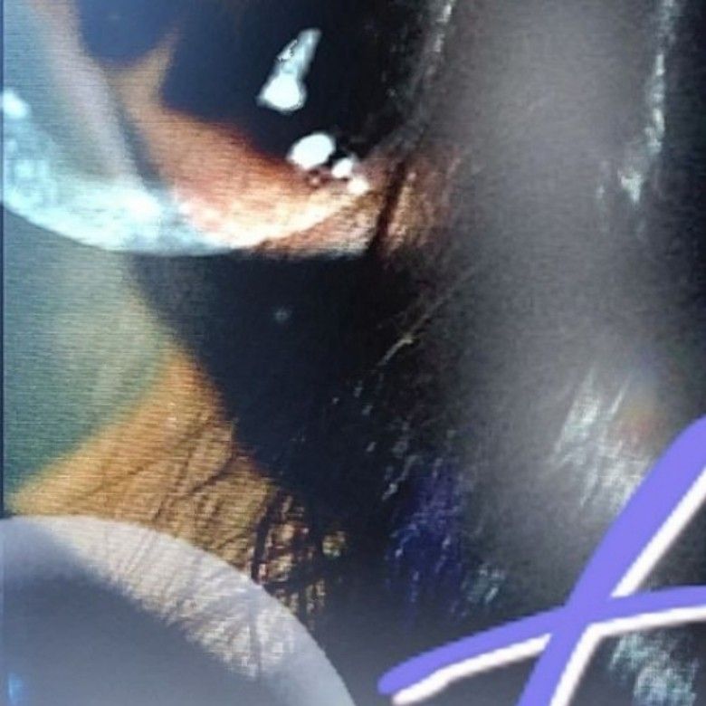 ギュジン (NMIXX)の最近の活動写真