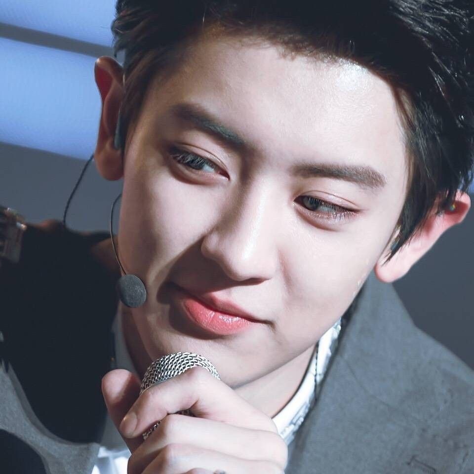 燦烈 (EXO)的最新照片